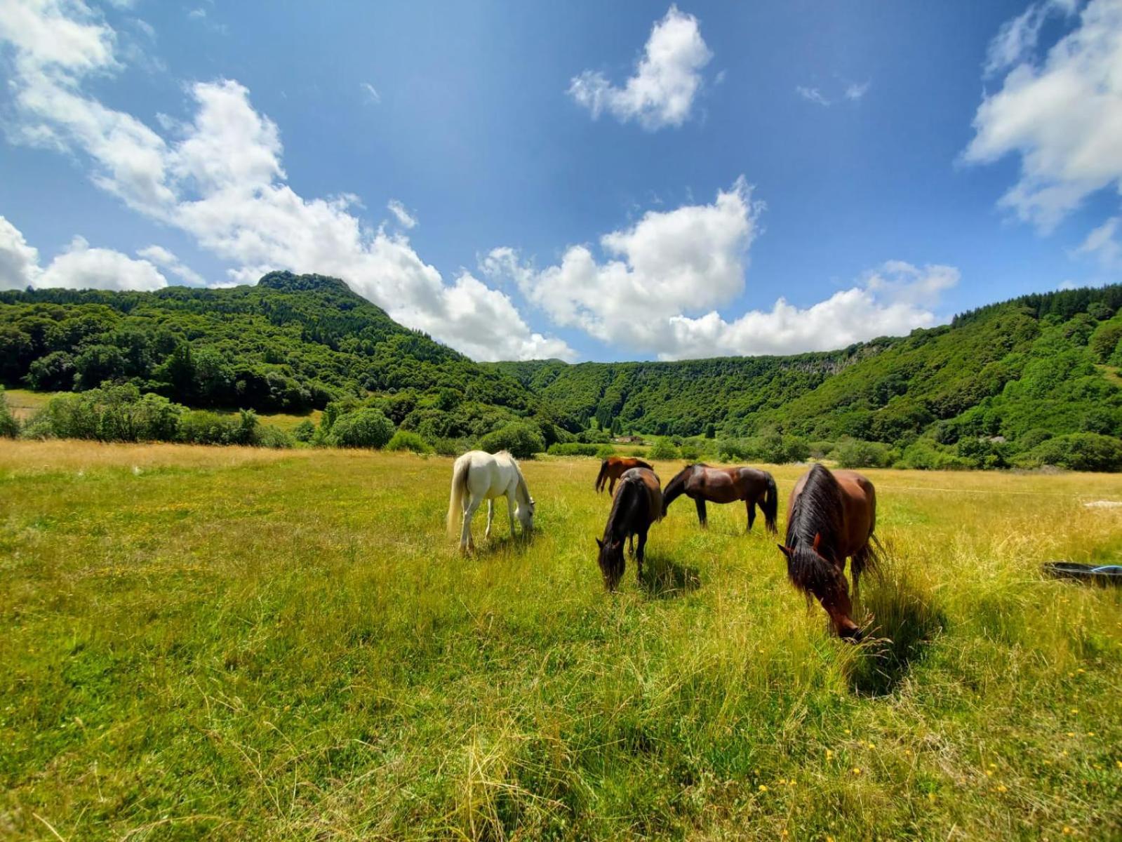 شامبون-سورلاك Sancy Resort المظهر الخارجي الصورة